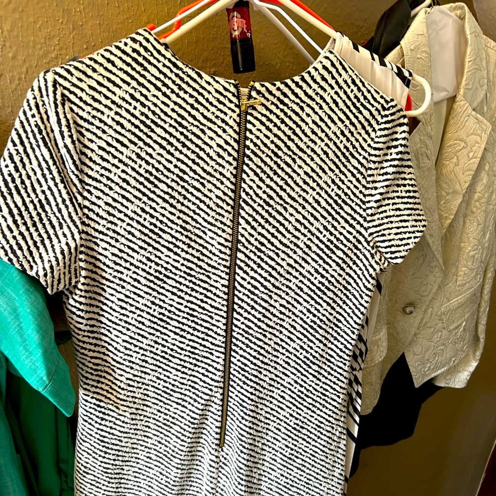 Women’s Calvin Klein dresses